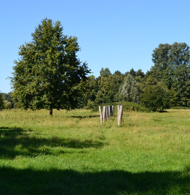 Bronzezeitlicher Grabhügel bei Telgte (Foto: U. Steinkrüger).