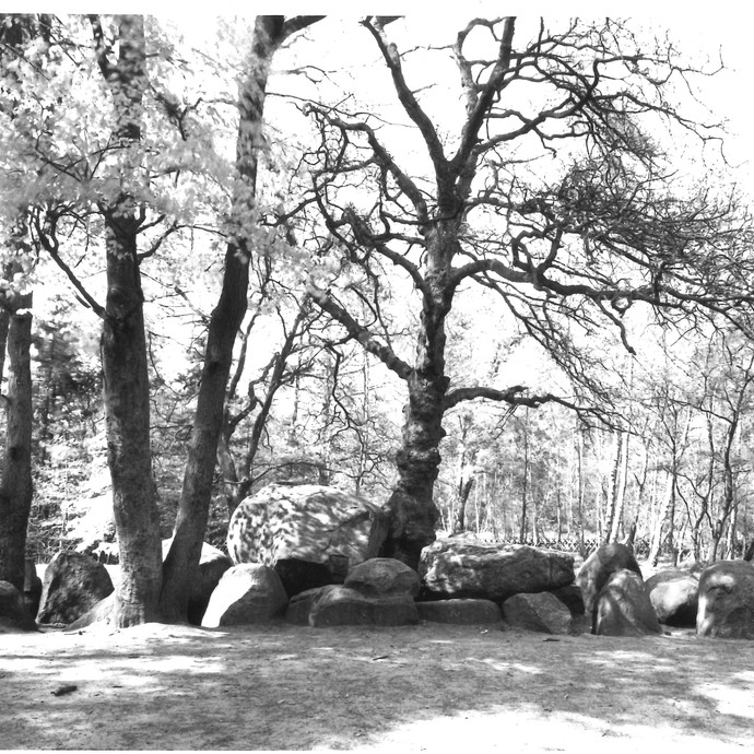 Fotografie der Düwelsteene, 1970. (vergrößerte Bildansicht wird geöffnet)
