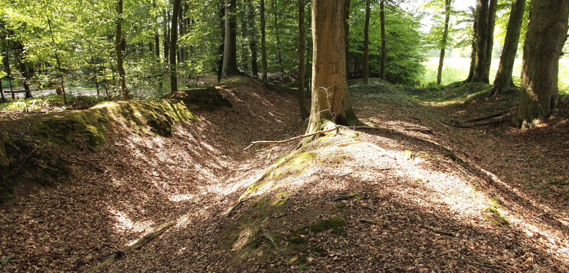 Die Landwehr um Bösensell/Albachten - erhaltenes Teilstück an der Bösenseller Straße (Foto: Altertumskommission/Priß).
