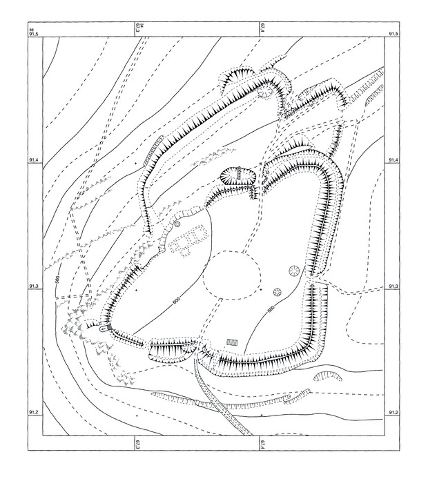 Plan des Borbergs Kirchhof, M. 1:2500 (Altertumskommission für Westfalen).