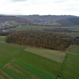 Cover der Frühen Burgen in Westfalen 46.