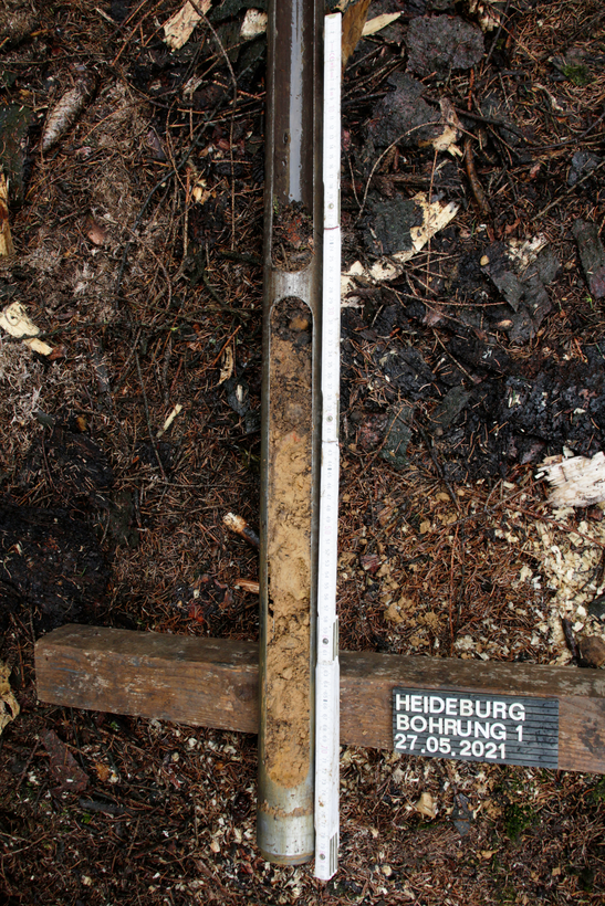 Eine Bohrprobe einer Rammkernsondierung (LWL-Archäologie/F. Geldsetzer)