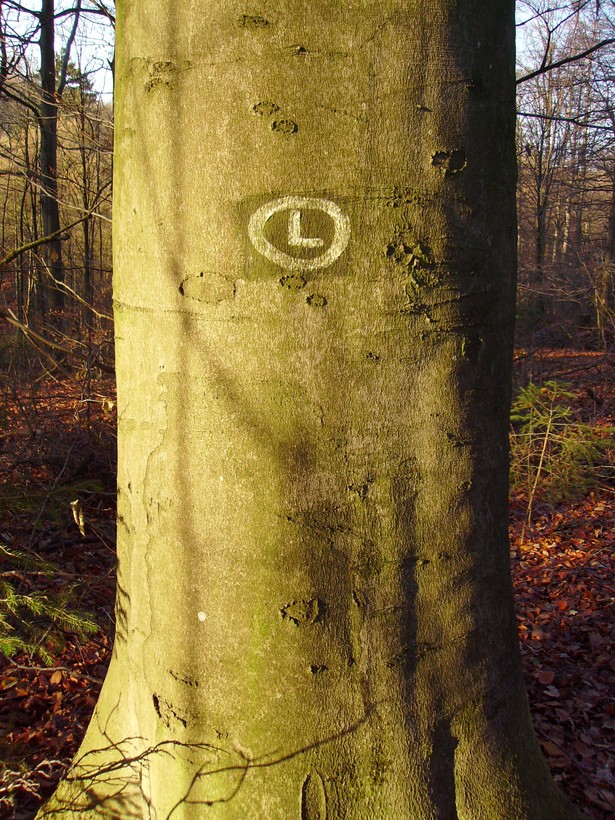 Markierung des Lemgoer Landwehr-Wanderwegs (H. Hentschel).