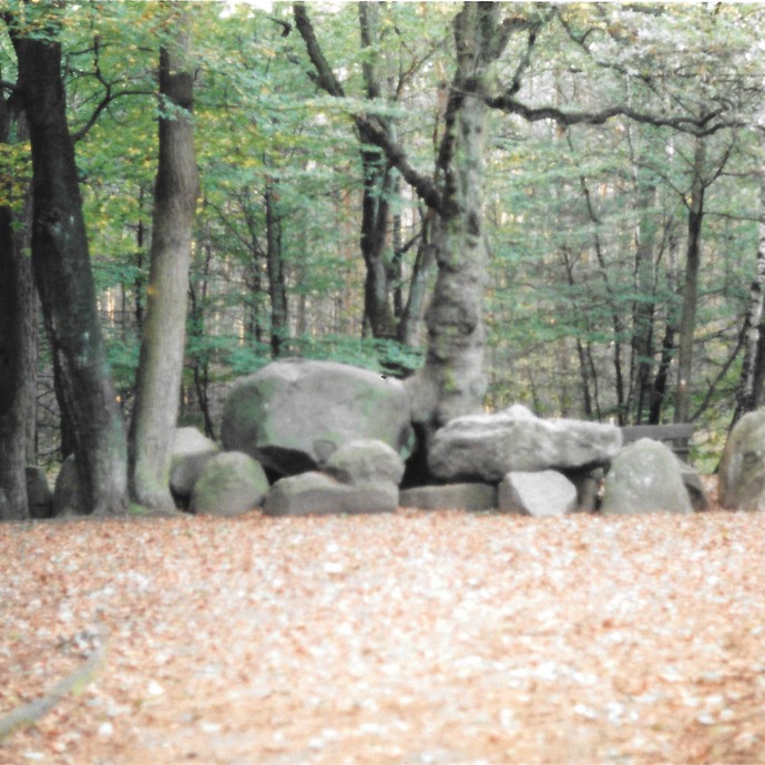 Fotografie der Düwelsteene, 1997. (vergrößerte Bildansicht wird geöffnet)