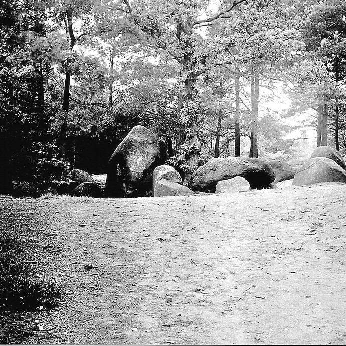 Fotografie der Düwelsteene, um 1920. (vergrößerte Bildansicht wird geöffnet)