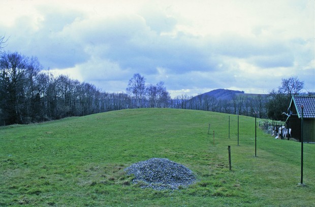Die Hünenburg in Blickrichtung Süden (LWL-Archäologie für Westfalen/Außenstelle Bielefeld).