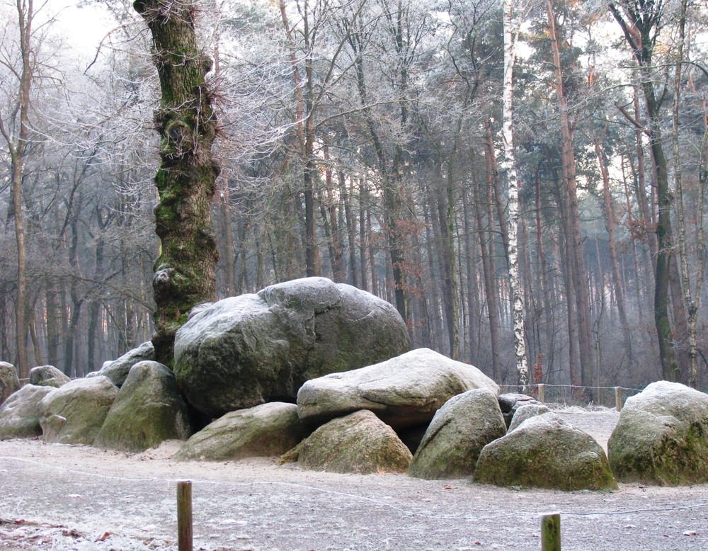 Die Düwelsteene 2007, Einsendung im Rahmen des Citizen Science Projektes (Foto: Privataufnahme/Luetkebohmert).