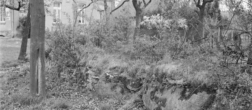Reste des Megalithgrabes Westerkappeln-Seeste 1968 (Foto:LWL-Archäologie/Rochna).