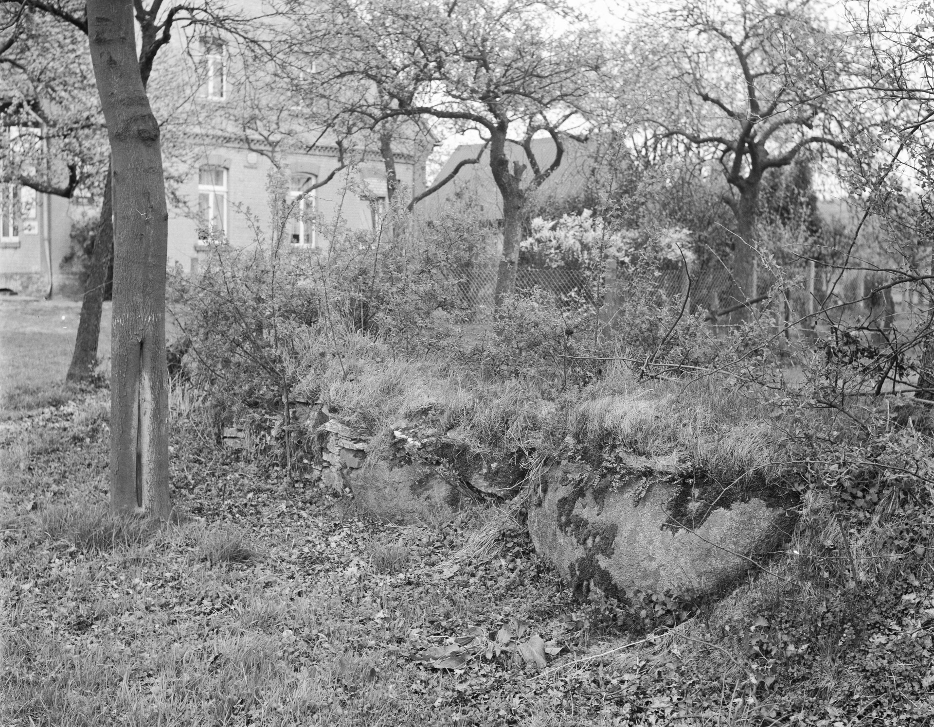 Die Fundlage im Jahr 1968 (Foto: LWL-Archäologie/ O. Rochna). Die Fundlage im Jahr 1968 (Foto: LWL-Archäologie/ O. Rochna).