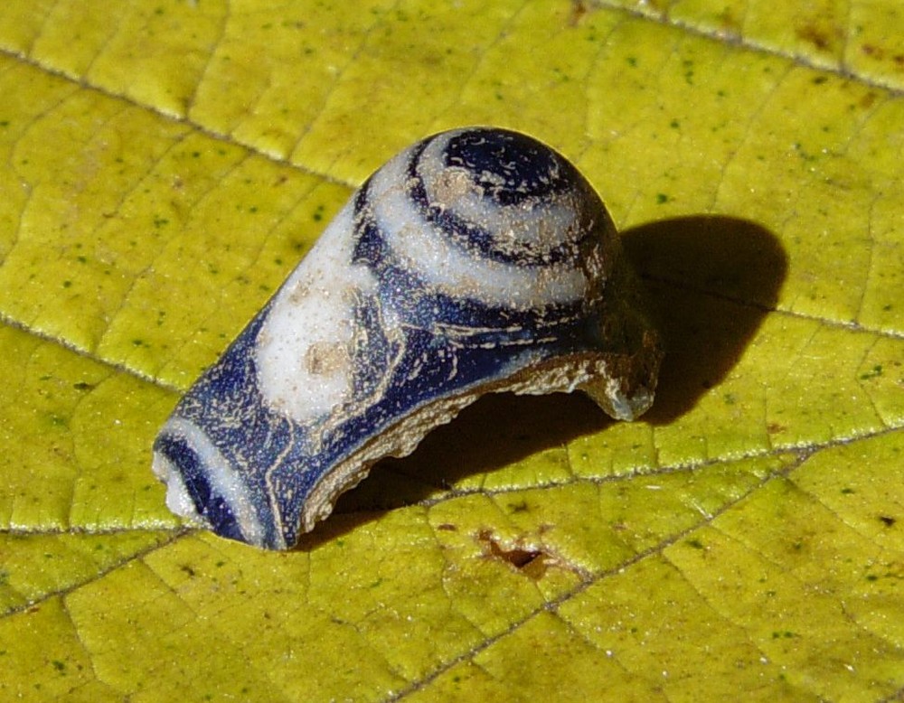 Fragment einer gläsernen Spiralaugenperle (Foto: P. Jastro).