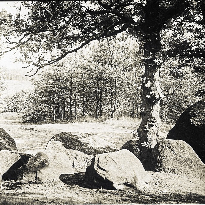Fotografie der Düwelsteene, um 1900-1931. (vergrößerte Bildansicht wird geöffnet)