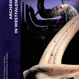 Cover der AiWL 2020 (LWL-AfW/Altertumskommission).