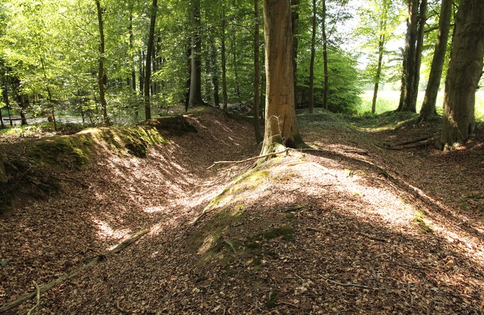 Die Landwehr um Bösensell/Albachten - erhaltenes Teilstück an der Bösenseller Straße (Altertumskommission/Priß).