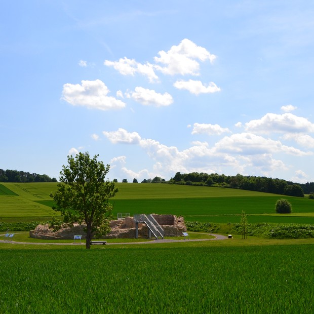Die Holsterburg bei Warburg, Kreis Höxter (Foto: Ulrike Steinkrüger)