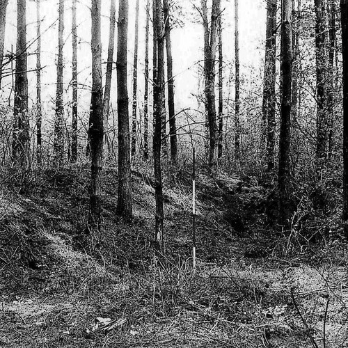 Blick auf den südlichen Wall der Hünenburg bei Liesborn von außen (Hömberg 1999, Abb. 3).