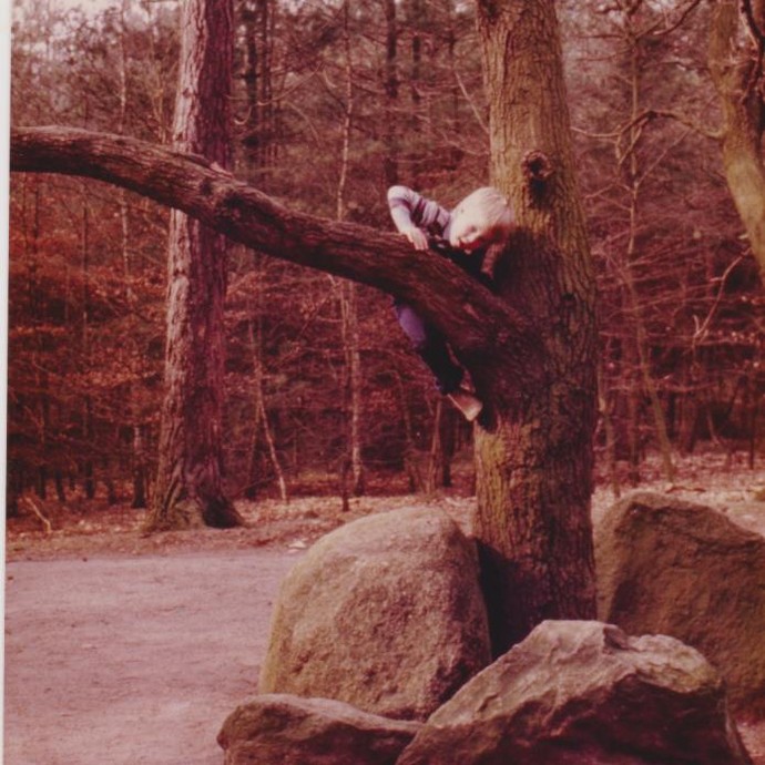 Fotografie der Düwelsteene, 1975. (vergrößerte Bildansicht wird geöffnet)