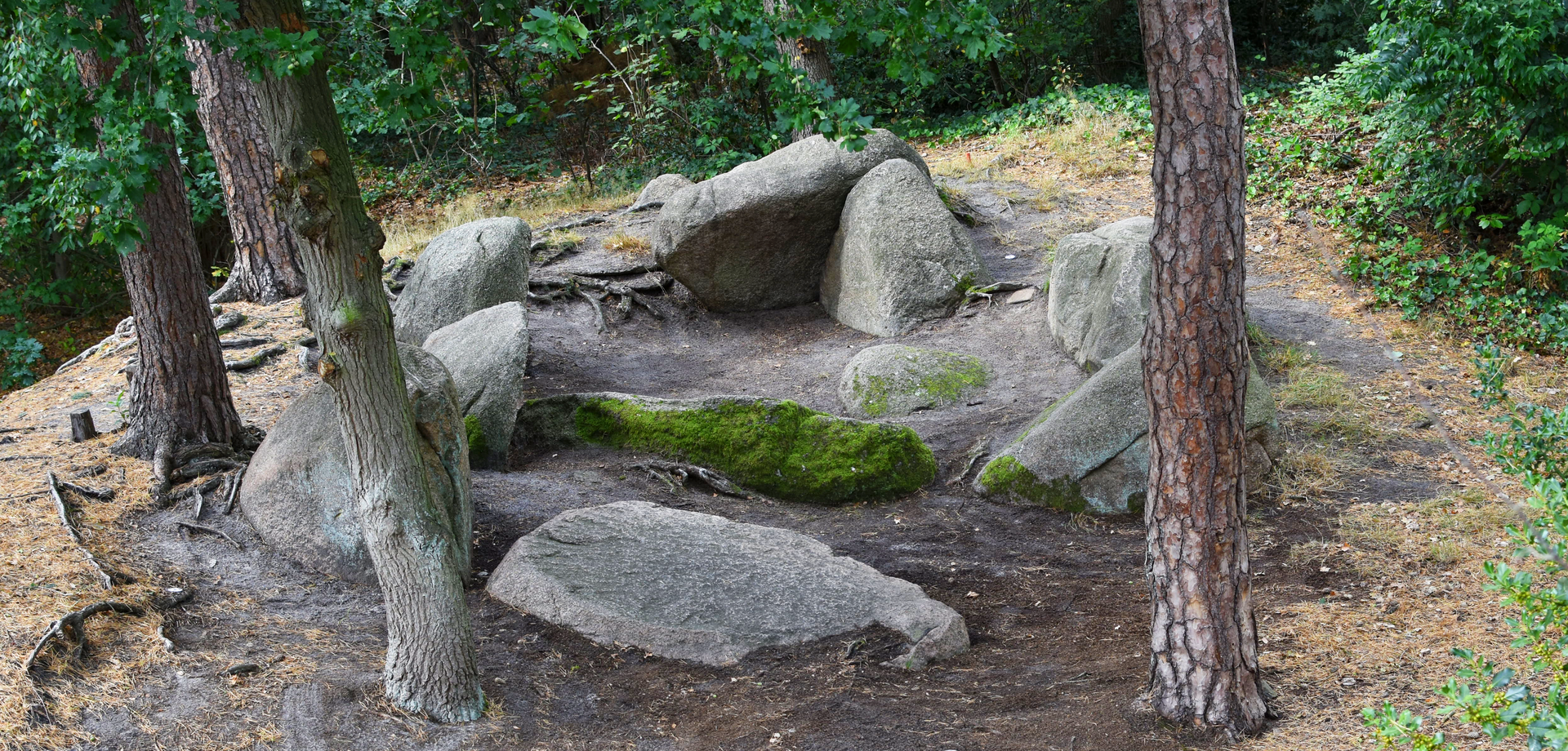 Die Kleinen Sloopsteene bei Lotte-Halen (Foto: Altertumskommission/Klinke).