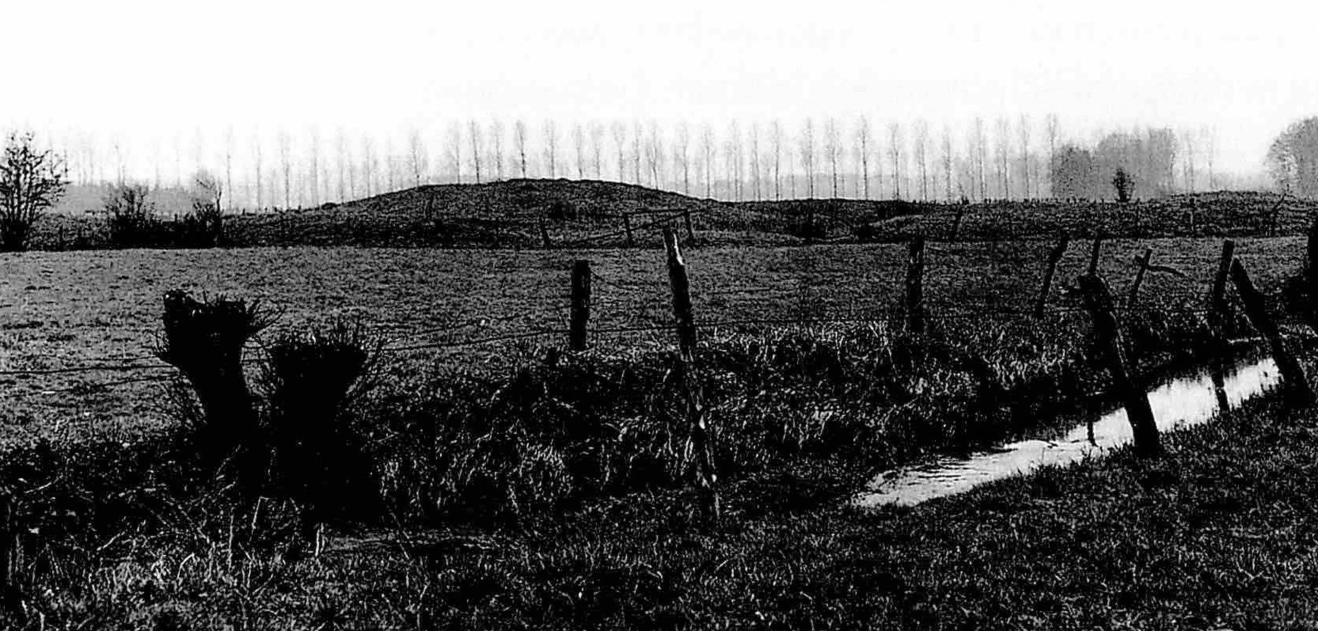 Blick auf die Barenborg von Westen, 1958 (A. Stieren).