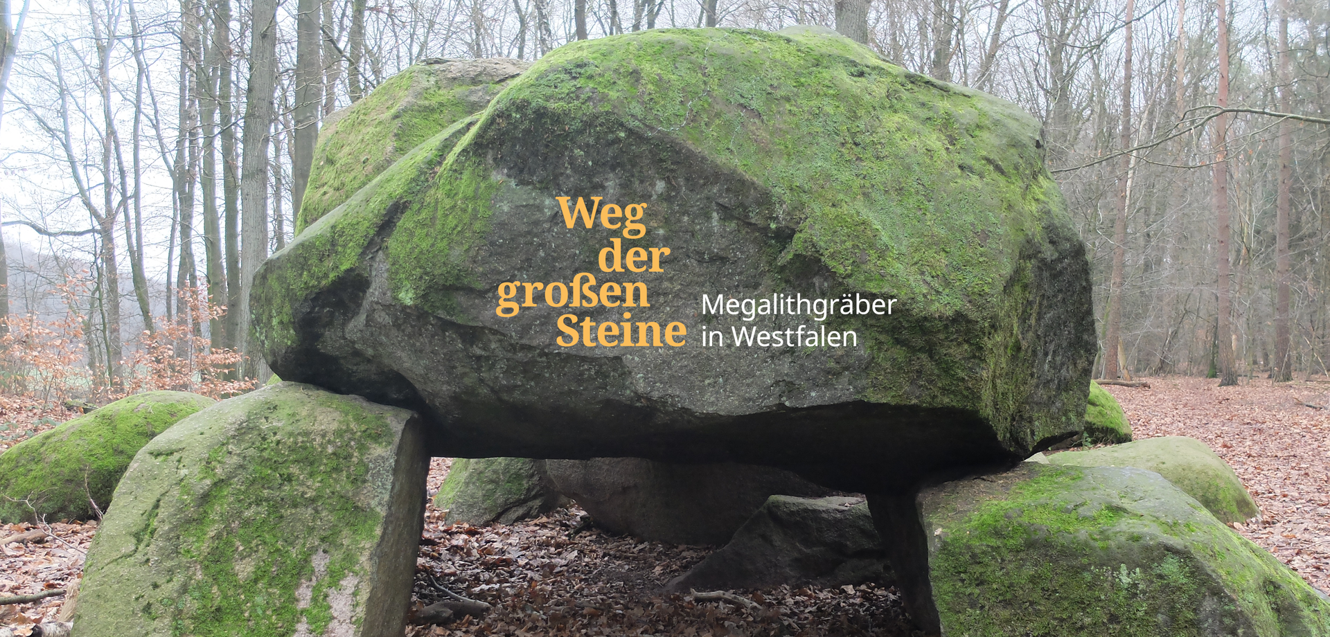 Die Großen Sloopsteene bei Lotte-Wersen (Foto: Altertumskommission/Brieske).