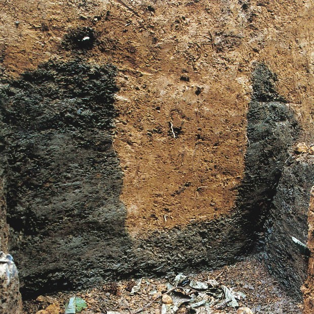 Schnitt durch den Palisadengraben (R. Plöger, Minden). Schnitt durch den Palisadengraben (R. Plöger, Minden).