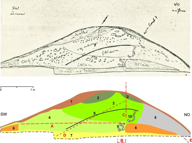 Profilschnitt durch den Wall des Burggrabens von 1932 (LWL-AfW/Zeiler auf Grundlage der Skizze v. Behagel).