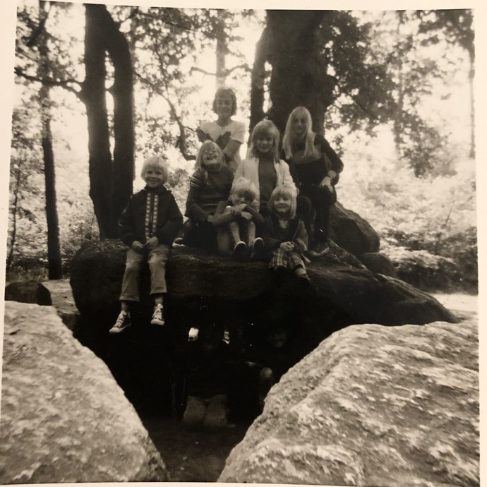Fotografie der Düwelsteene, um 1970. (vergrößerte Bildansicht wird geöffnet)