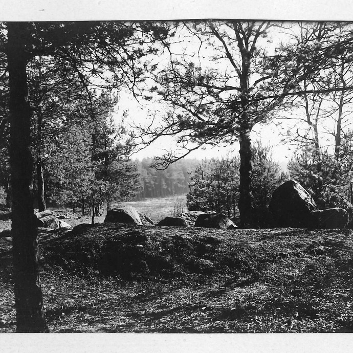 Fotografie der Düwelsteene, um 1900-1920. (vergrößerte Bildansicht wird geöffnet)