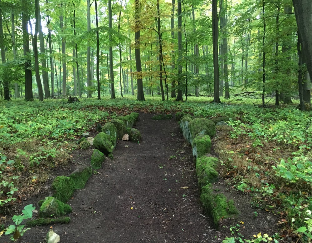 Das Galeriegrab Warburg-Rimbeck geputzt, 2020 (Foto: Altertumskommission/Reck).