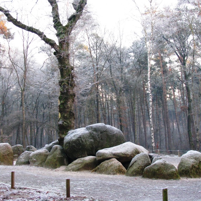 Fotografie der Düwelsteene, 2007. (vergrößerte Bildansicht wird geöffnet)